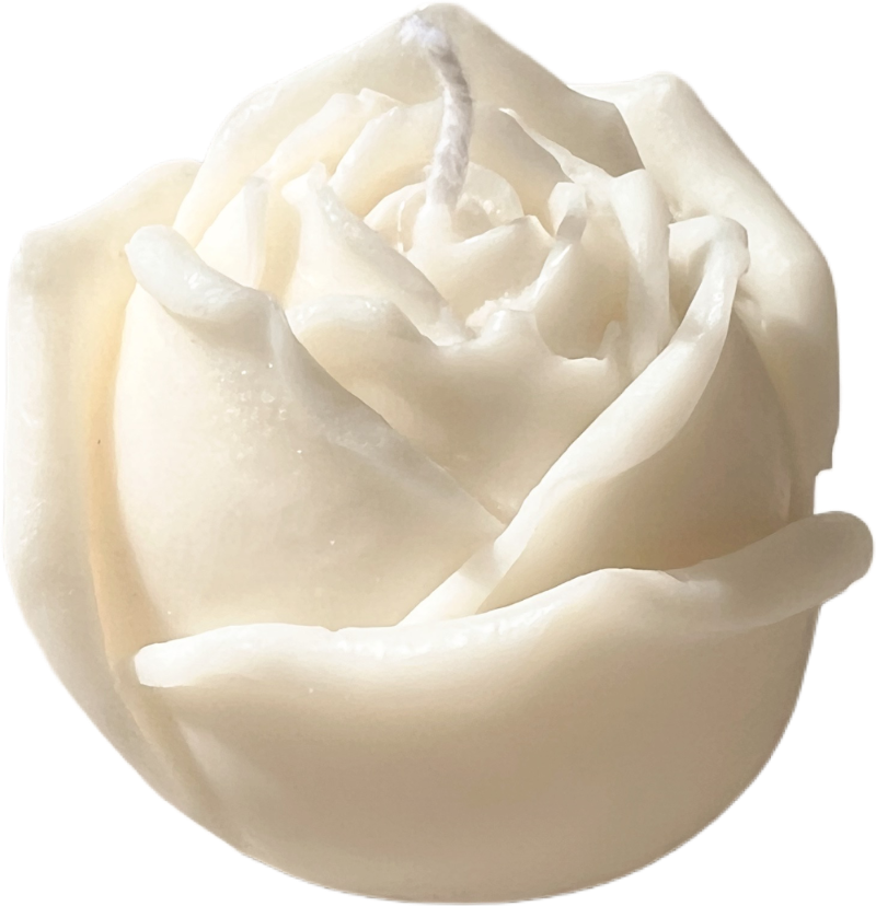 CANDLE ROSE